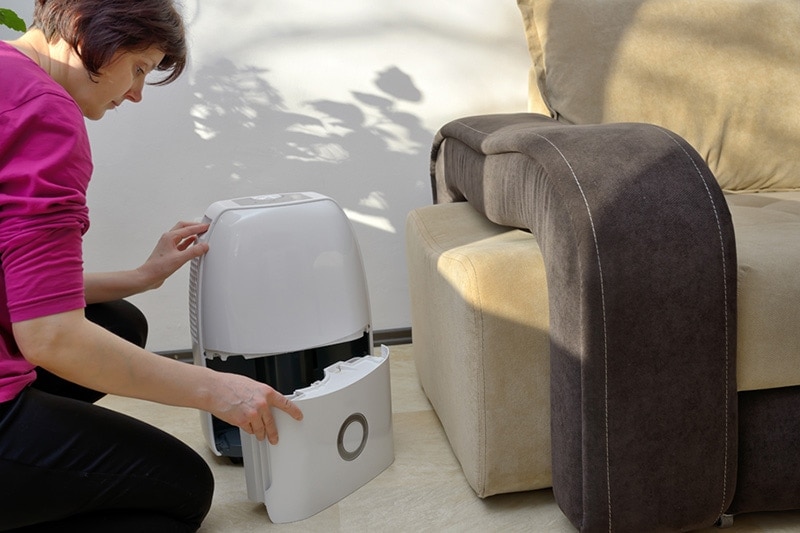 woman checking her dehumidifer to see if her humidity control is working